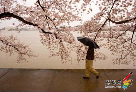 行者的攝影書 名(míng)師教你特殊氣候下如何拍 行者的攝影書 名(míng)師教你特殊氣候下如何拍