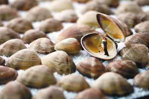 創意攝影：“小(xiǎo)人國(guó)”的廚房之旅