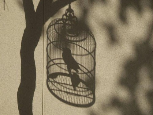 教你給照片起個好标題 讓它更吸引人