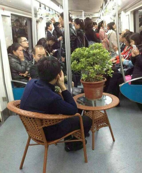 教你給照片起個好标題 讓它更吸引人