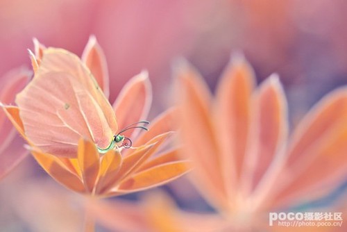 抓準趣味中(zhōng)心 大師六妙招讓照片更靈動